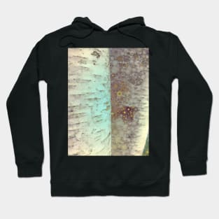 Autumn Birch Tree Abstract Hoodie